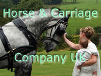 Horse and Carriage Co. UK banner